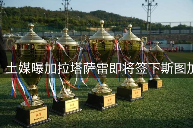 土媒曝加拉塔萨雷即将签下斯图加特射手德米罗维奇