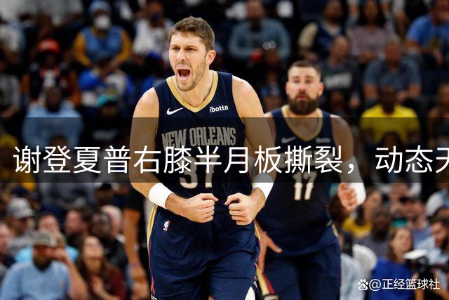 谢登夏普右膝半月板撕裂，动态天赋强的球员会本能的利用自己的运动能力打球